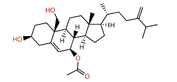 24-Methylenecholest-5-en-3b,19-diol 7b-monoacetate